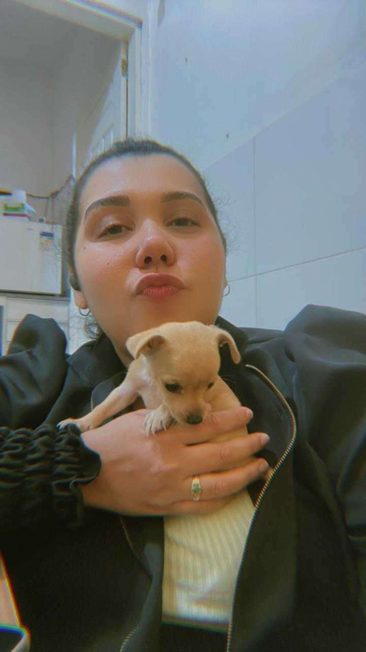 Vacinas Landing Hero Top Image