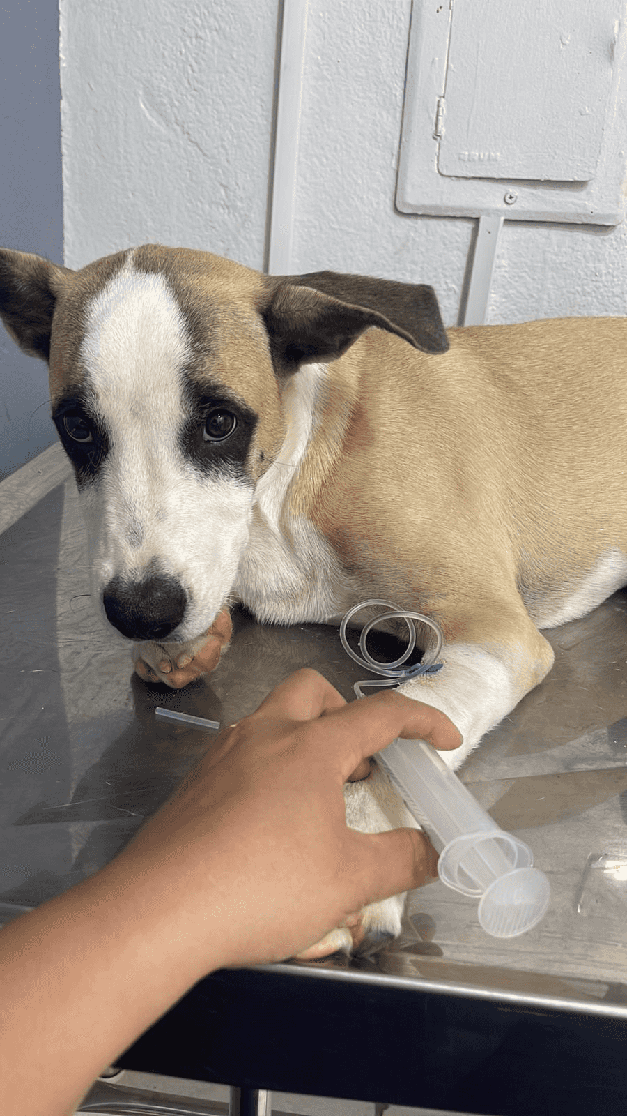 Aplicações de Medicamentos