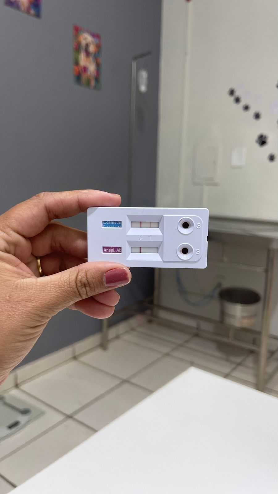 Exames Laboratoriais